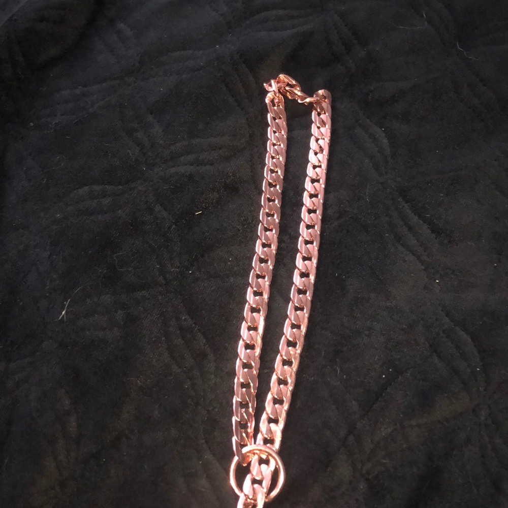 Dog chain large